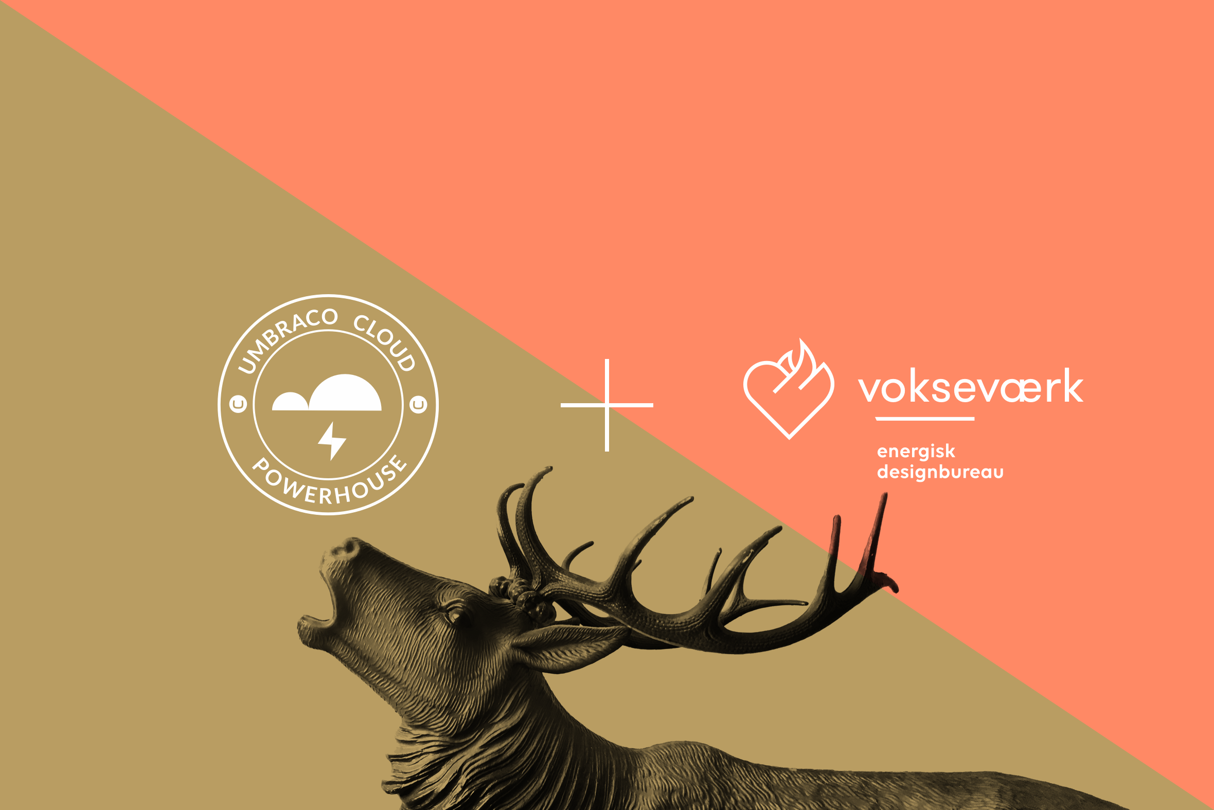 Umbraco Voksevaerk Alliance (1)