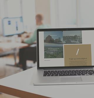 Domis Website Header