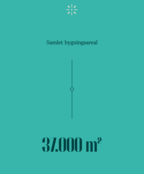 Irmahus Fakta Grafik